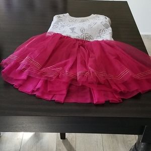 Disney Sweatshirt and Tutu